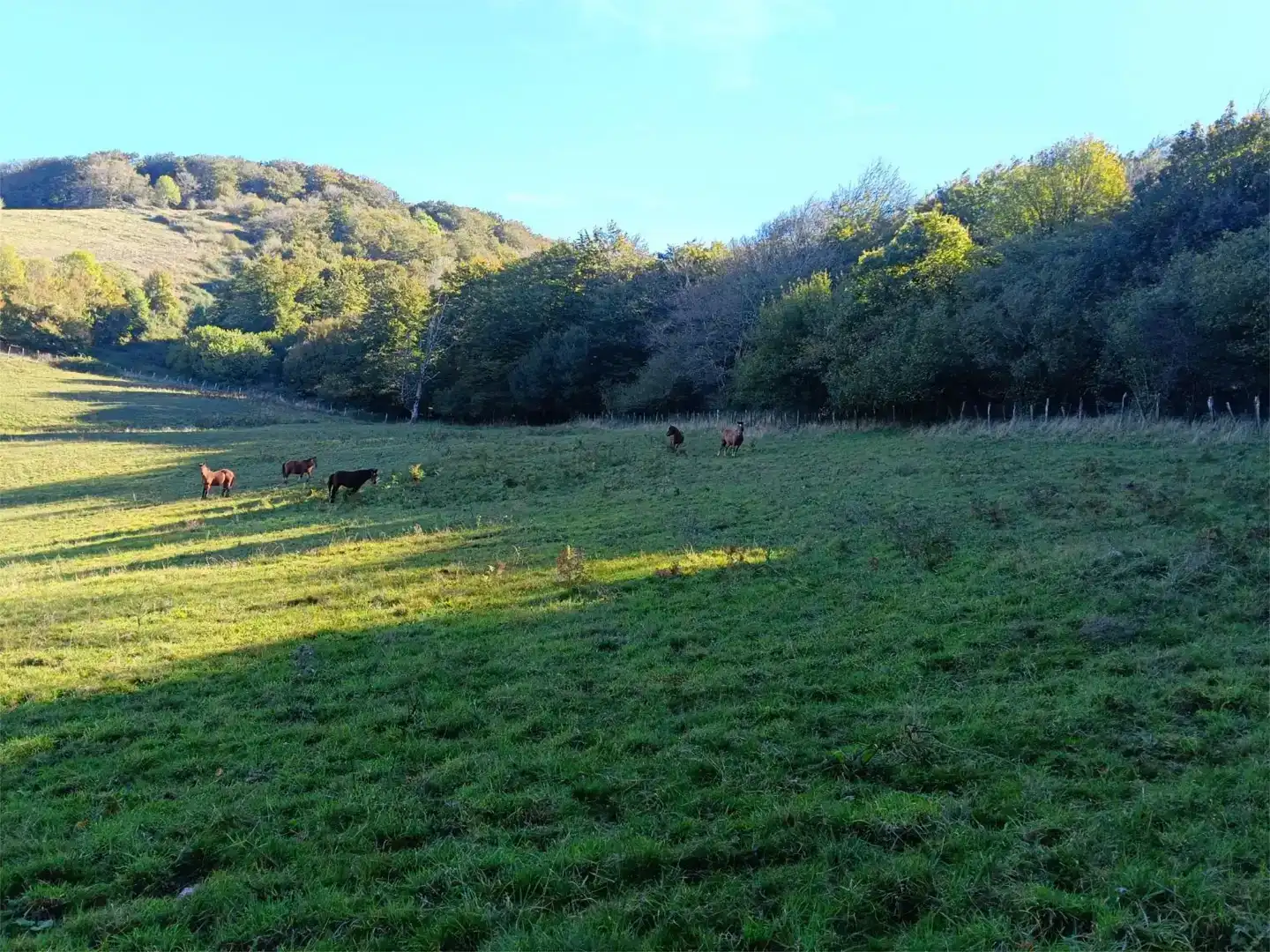 Terreno en venta en Larraun