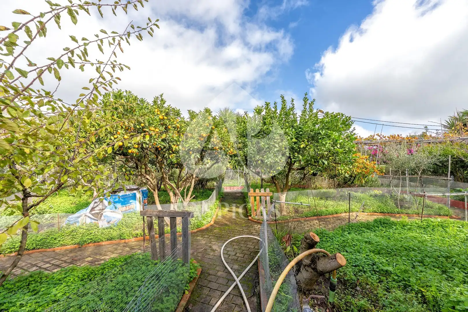 Casa rústica amb jardí en venda a Calle Los Parrales 12, imagen 22