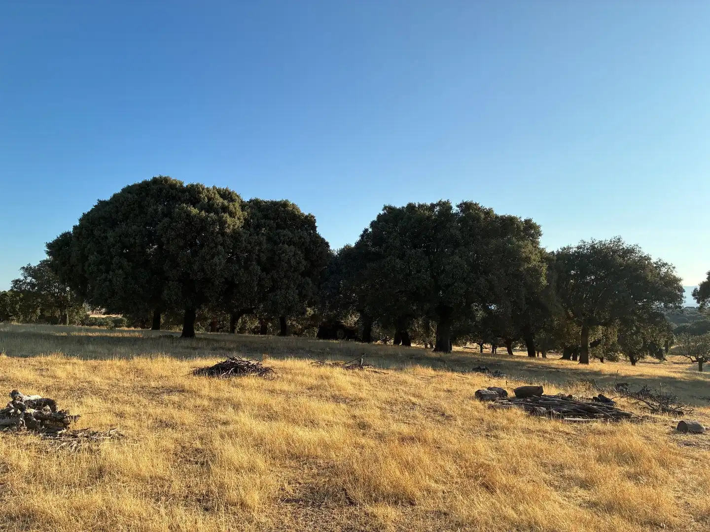 Rural land for sale in Mohedas de la Jara, imagen 2