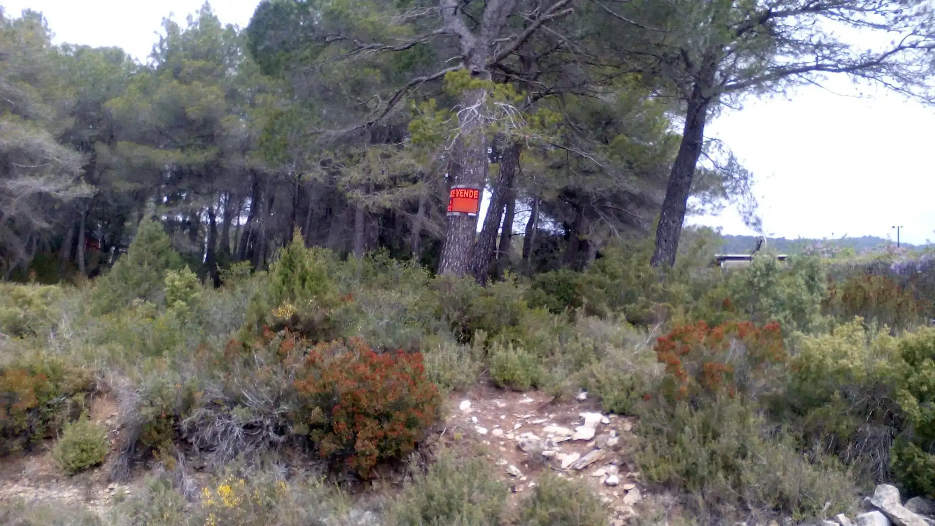 Terreni e lotti in vendita a Querol, imagen 5
