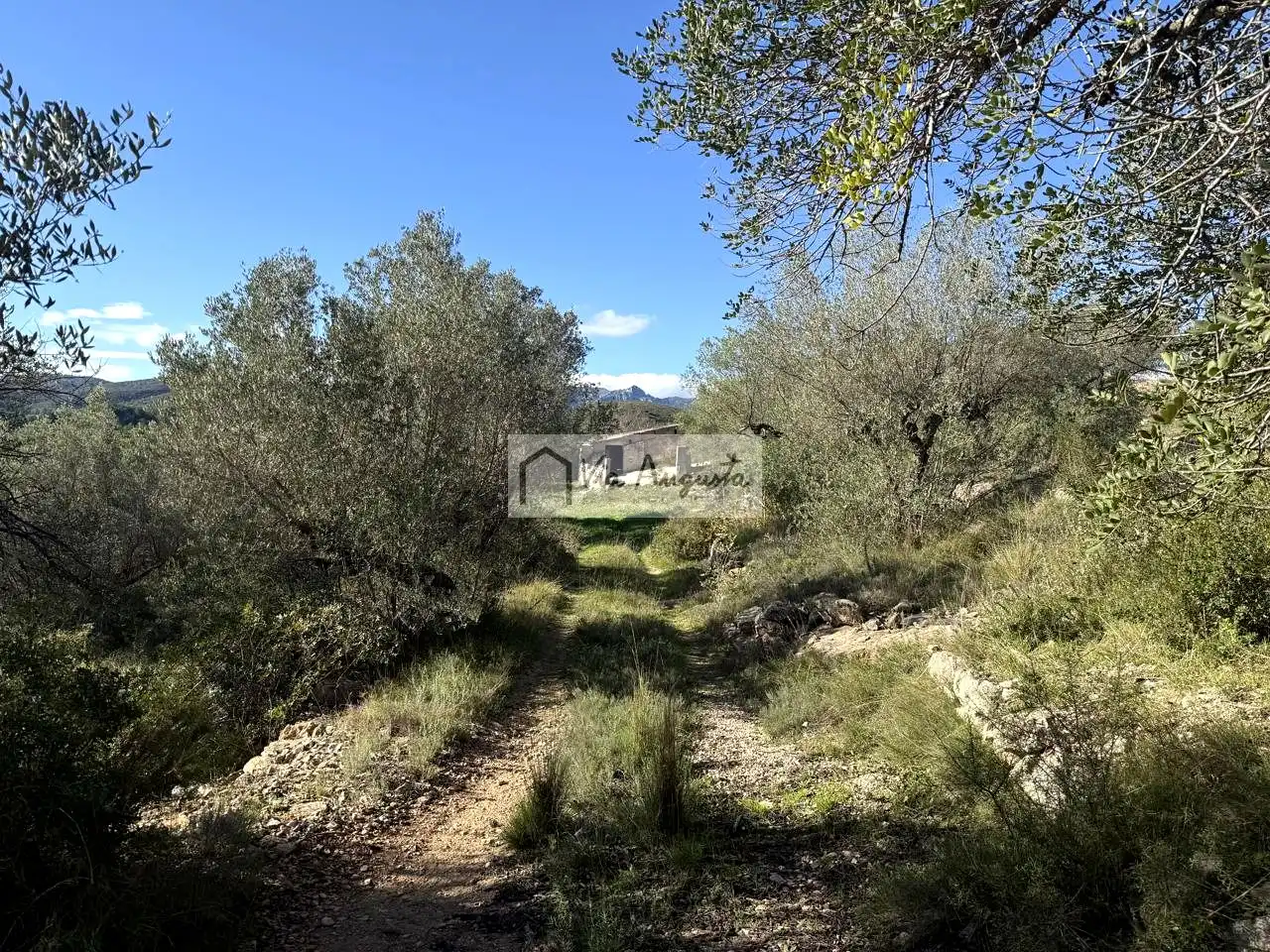 Terreno rustico in vendita a Bassa d'en Baró, imagen 3