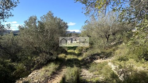 Foto 3 de Terreno en venta en Bassa D'en Baró, El Perelló, Tarragona