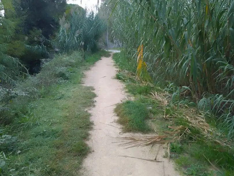 Terreni e lotti in affitto a Segadors 4, imagen 5