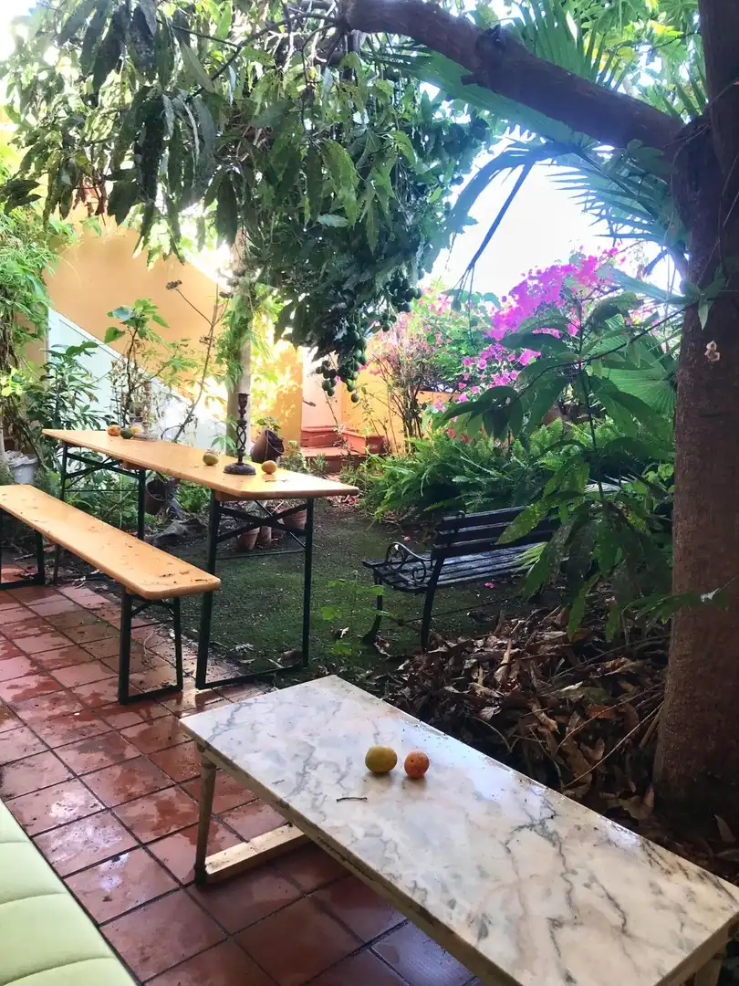 Garten von Einfamilien-Reihenhaus zur Miete in El Rosario mit Privatgarten, Terrasse und Möbliert