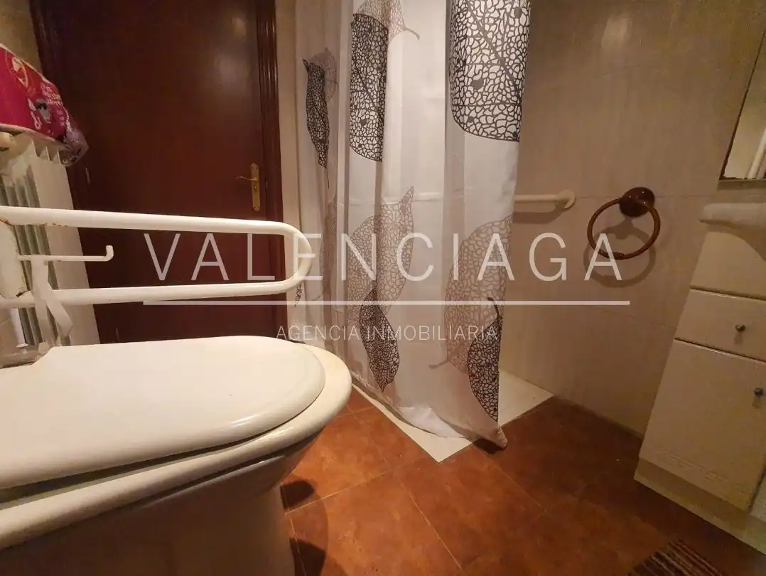 Detached homes for sale in Zaldibia