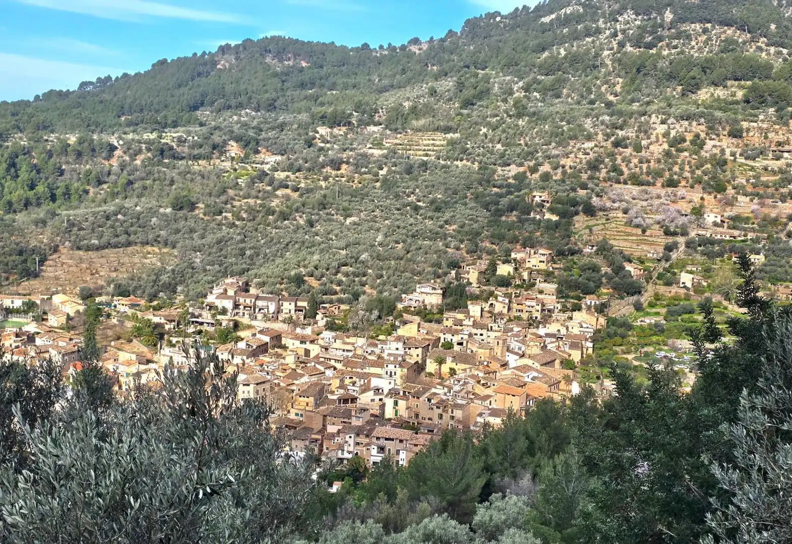Vista exterior de Finca rústica en venda en Fornalutx amb Jardí privat