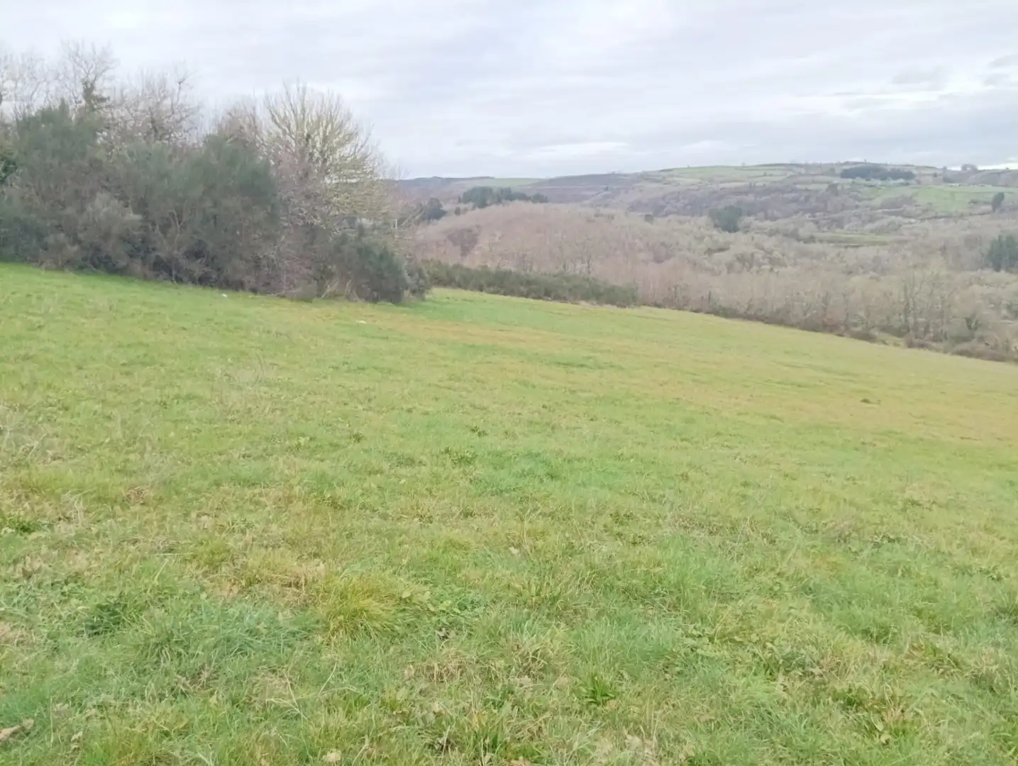 Finca rústica en venta en Becerreá