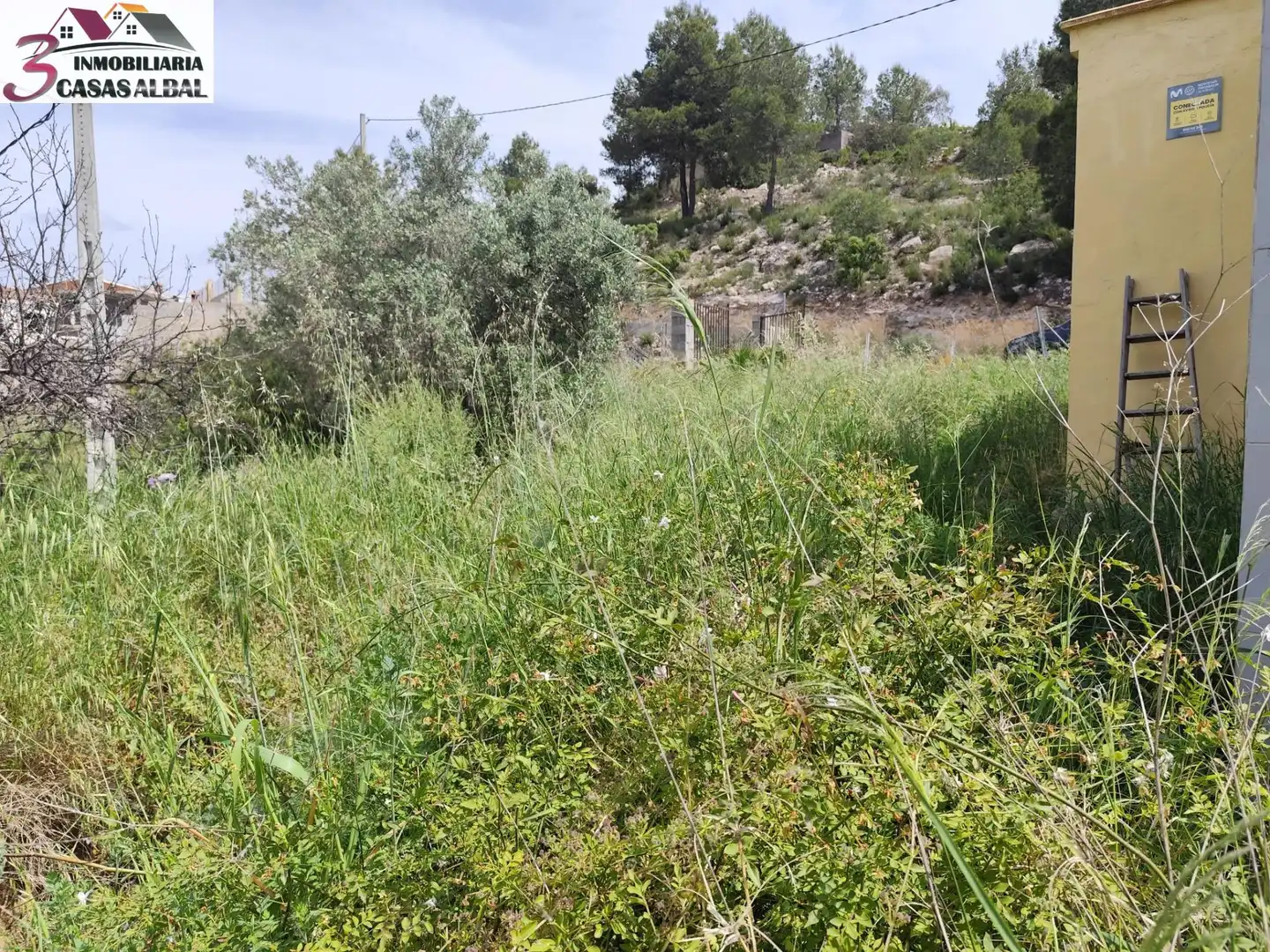 Casa o xalet en venda en Real amb Jardí privat i Piscina