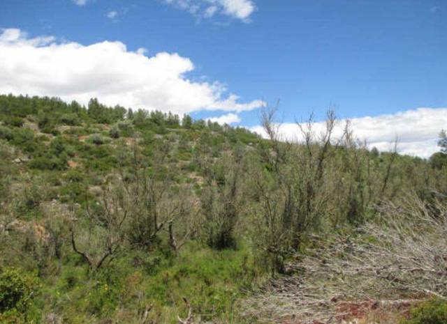 Finca rústica en Venta en La Loma en Cervera del Maestre