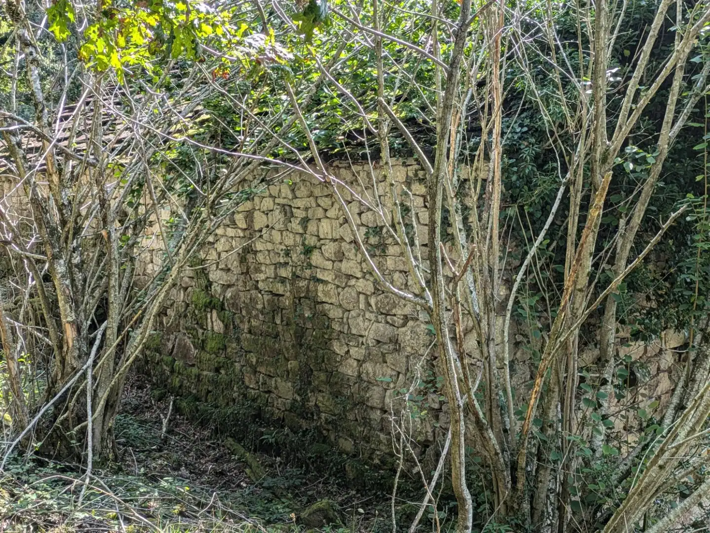Geschaftsraum zum Verkauf in Vega de Pas
