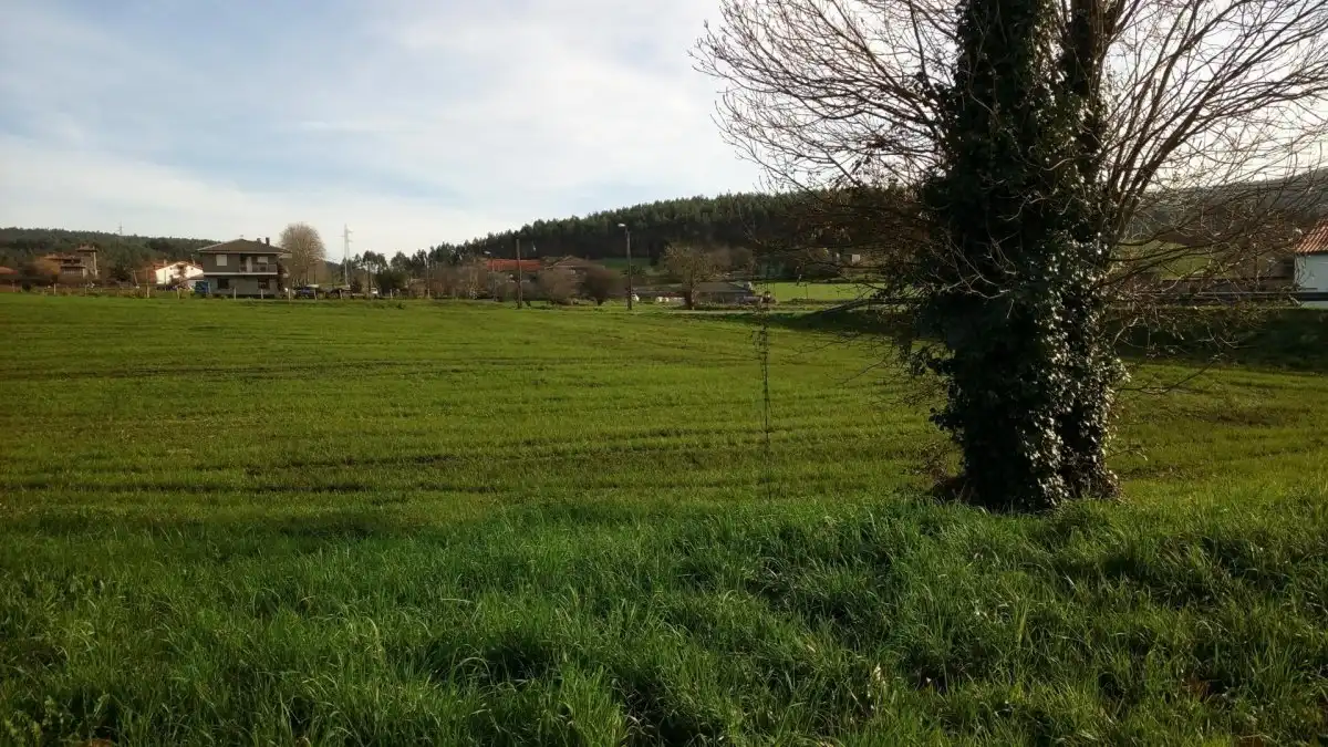 Terreni e lotti in vendita a Güemes