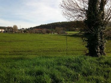 Terreni e lotti in vendita a Güemes