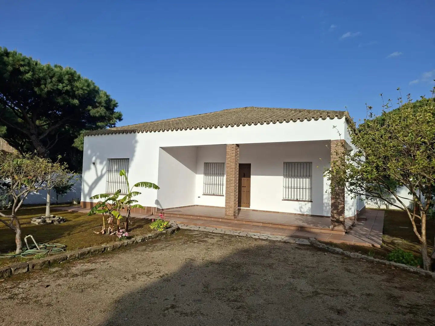 Vista exterior de Casa o xalet en venda en Chiclana de la Frontera amb Jardí privat