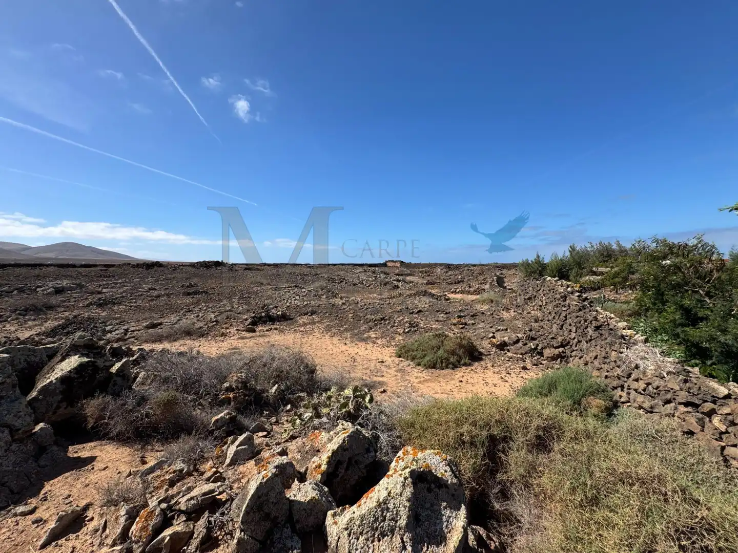 Land for sale in La Oliva