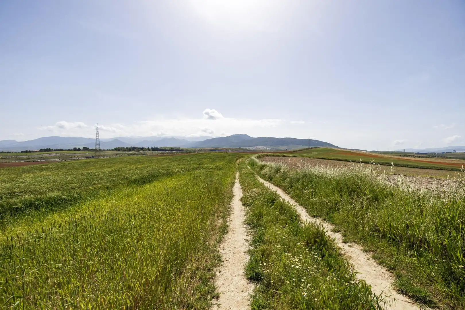 Lands and plots for sale in Otura 6, imagen 16