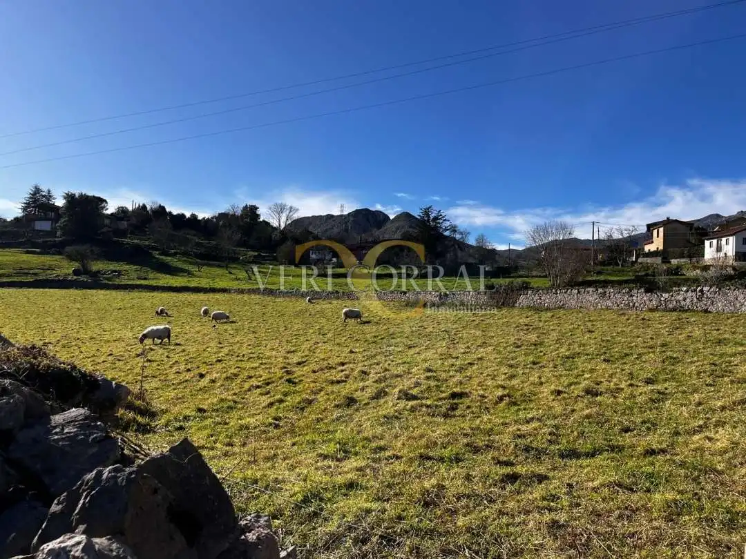 Terreno residencial en venta en Collía