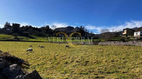Terreno de más de 3000m a 2km de Arriondas.