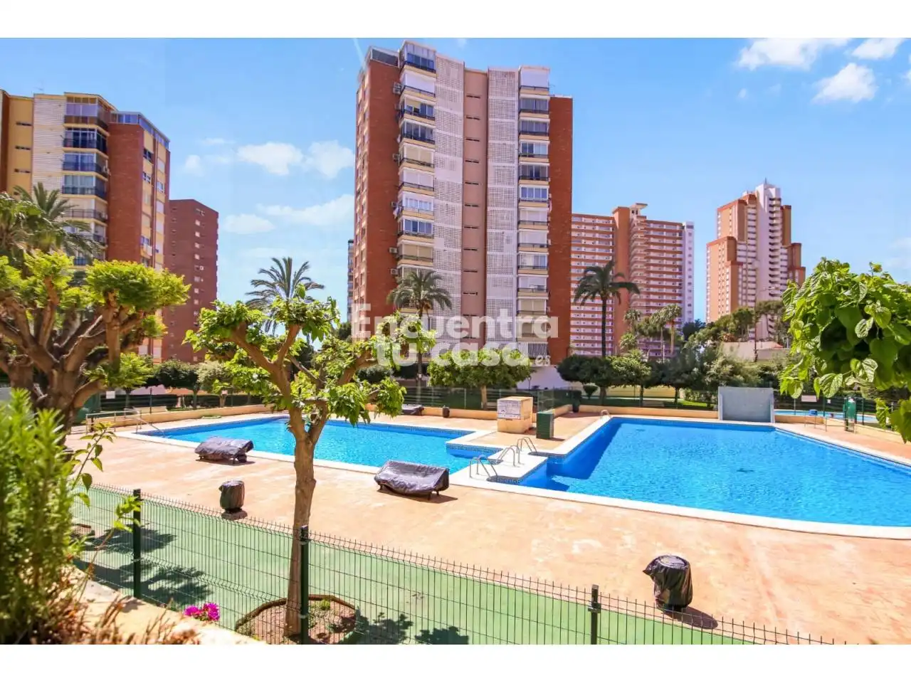 Vista exterior de Pis en venda en Benidorm amb Terrassa, Balcó i Piscina comunitària