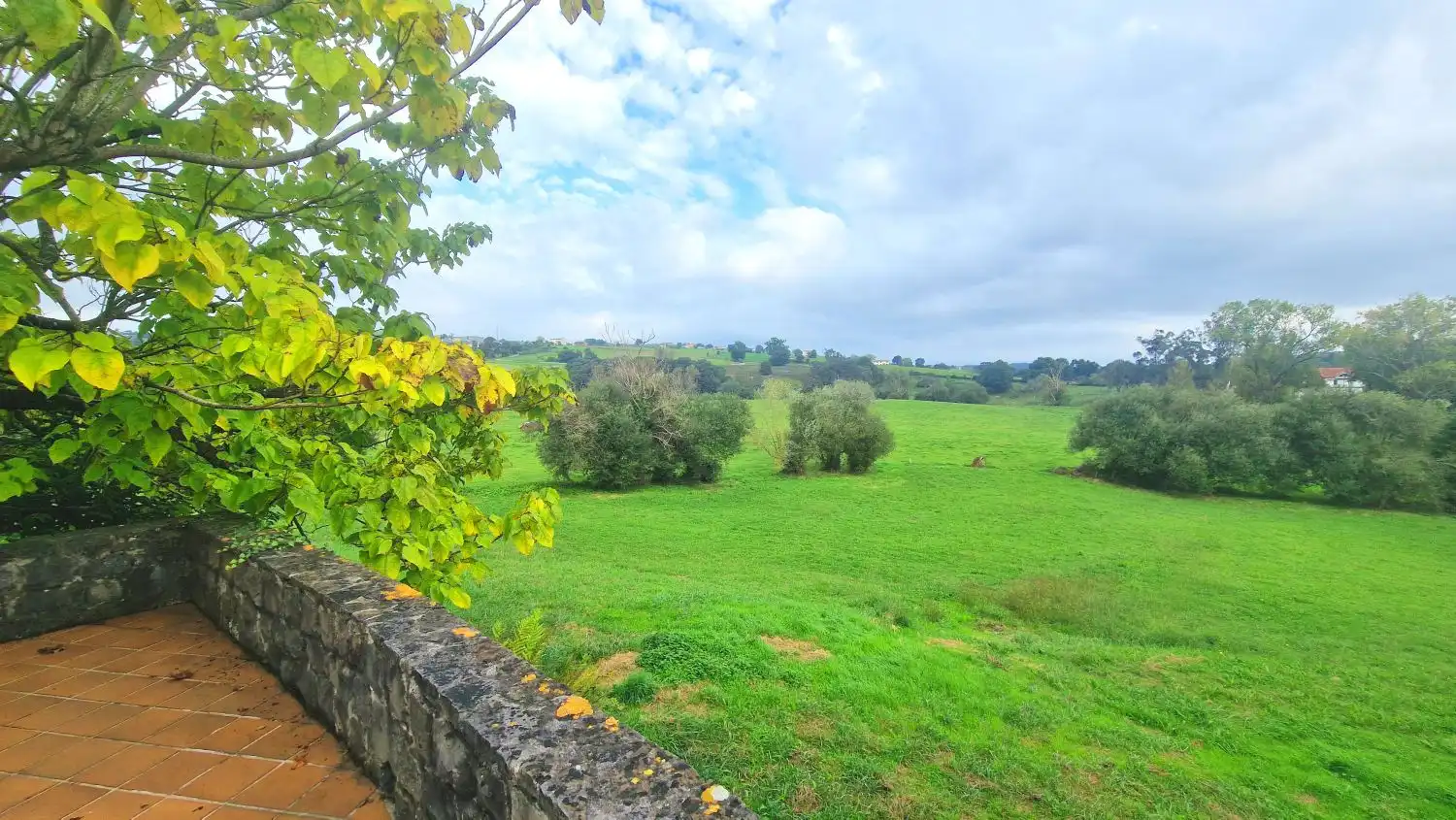 Jardín de Casa o chalet en venta en Meruelo con Calefacción, Terraza y Trastero