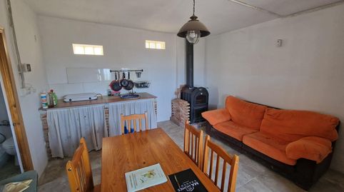 Finca ecológica en Cogollos Vega  2,5 hectáreas con casa, naves y producción agrícola, imatge 4
