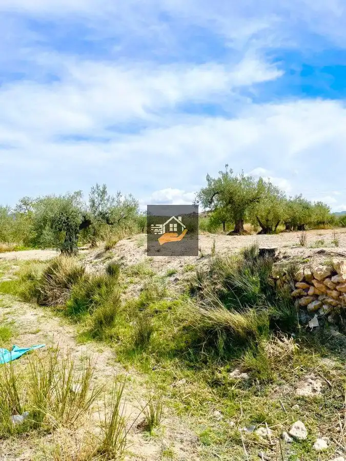 Finca rústica en venda en Vélez-Blanco amb Terrassa i Traster
