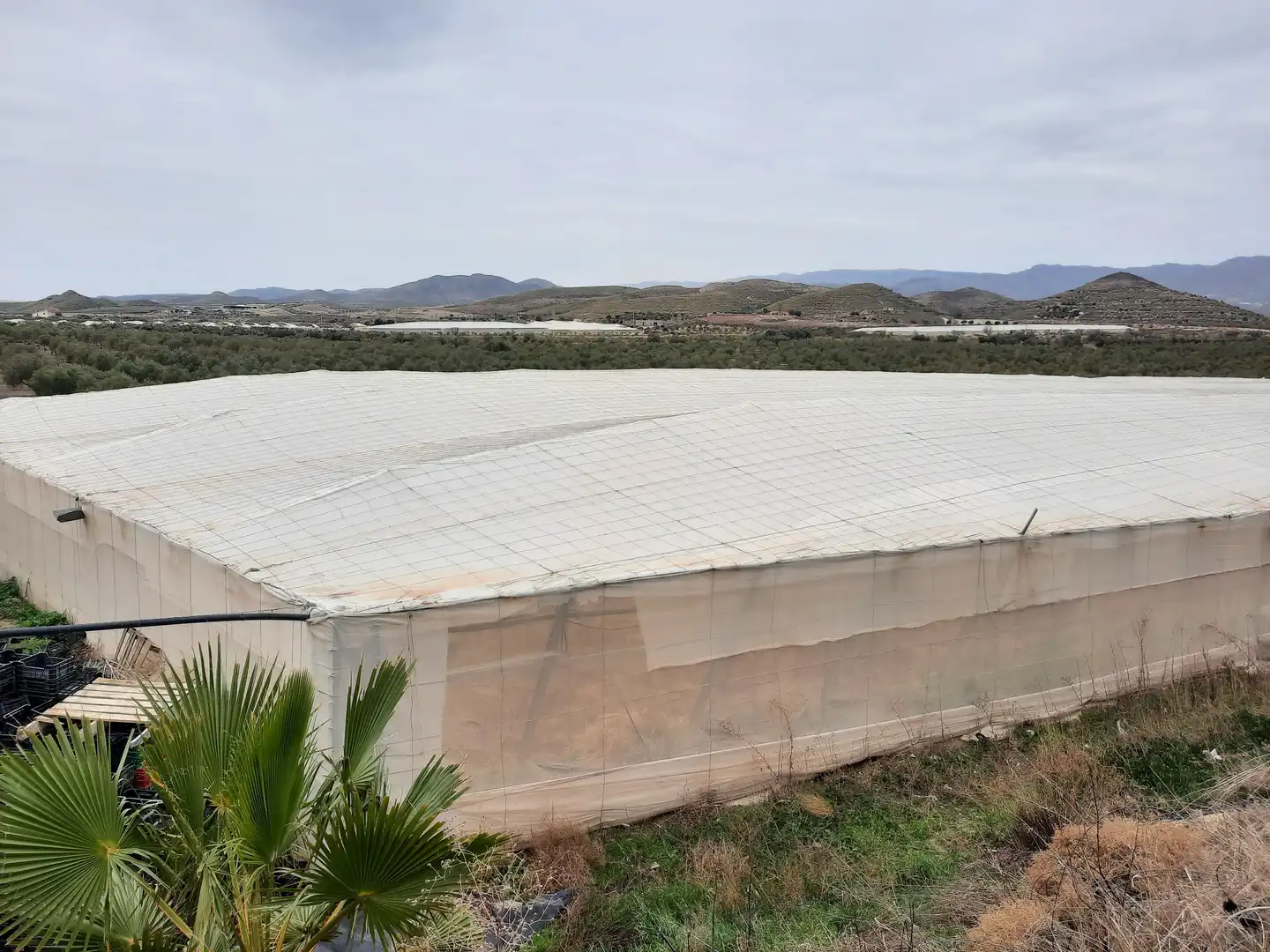 Terreny rústic en venda a Uleila del Campo, imagen 27