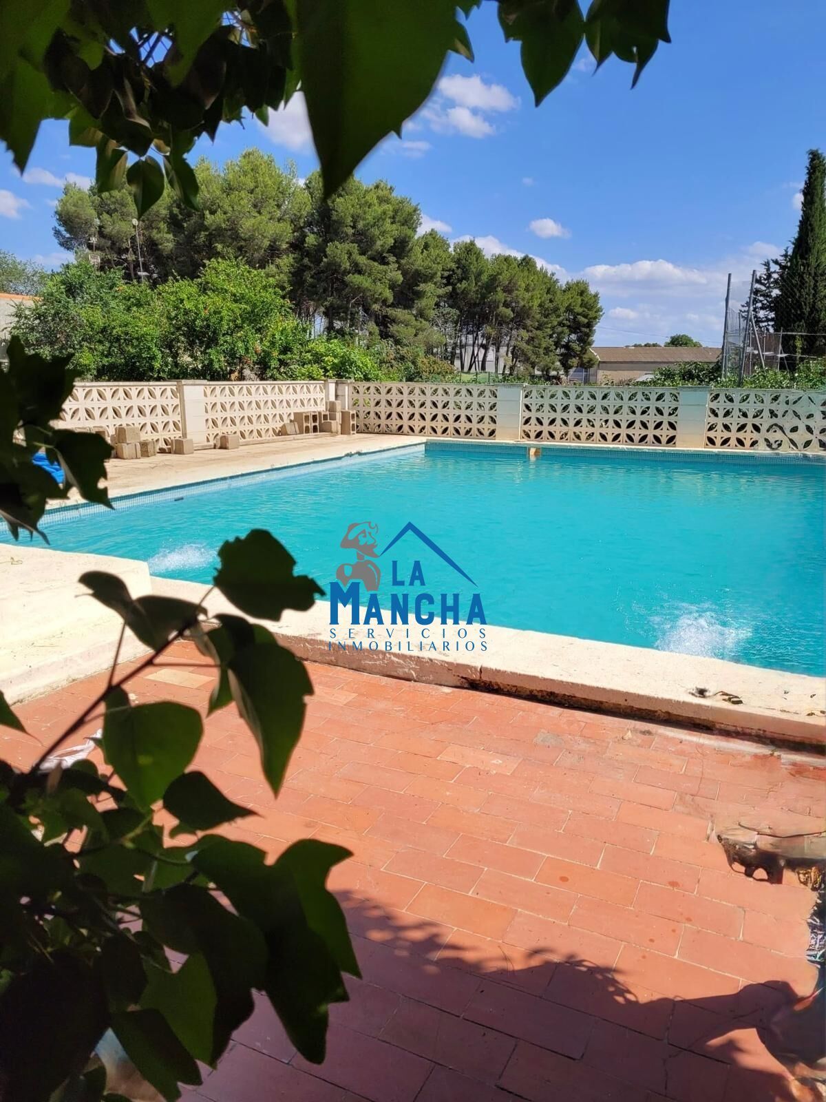 Piscina de Casa o xalet en venda en  Albacete Capital amb Calefacció, Jardí privat i Terrassa