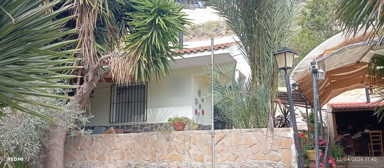 Vista exterior de Casa o chalet en venta en Murcia con Jardín privado, Terraza y Amueblado