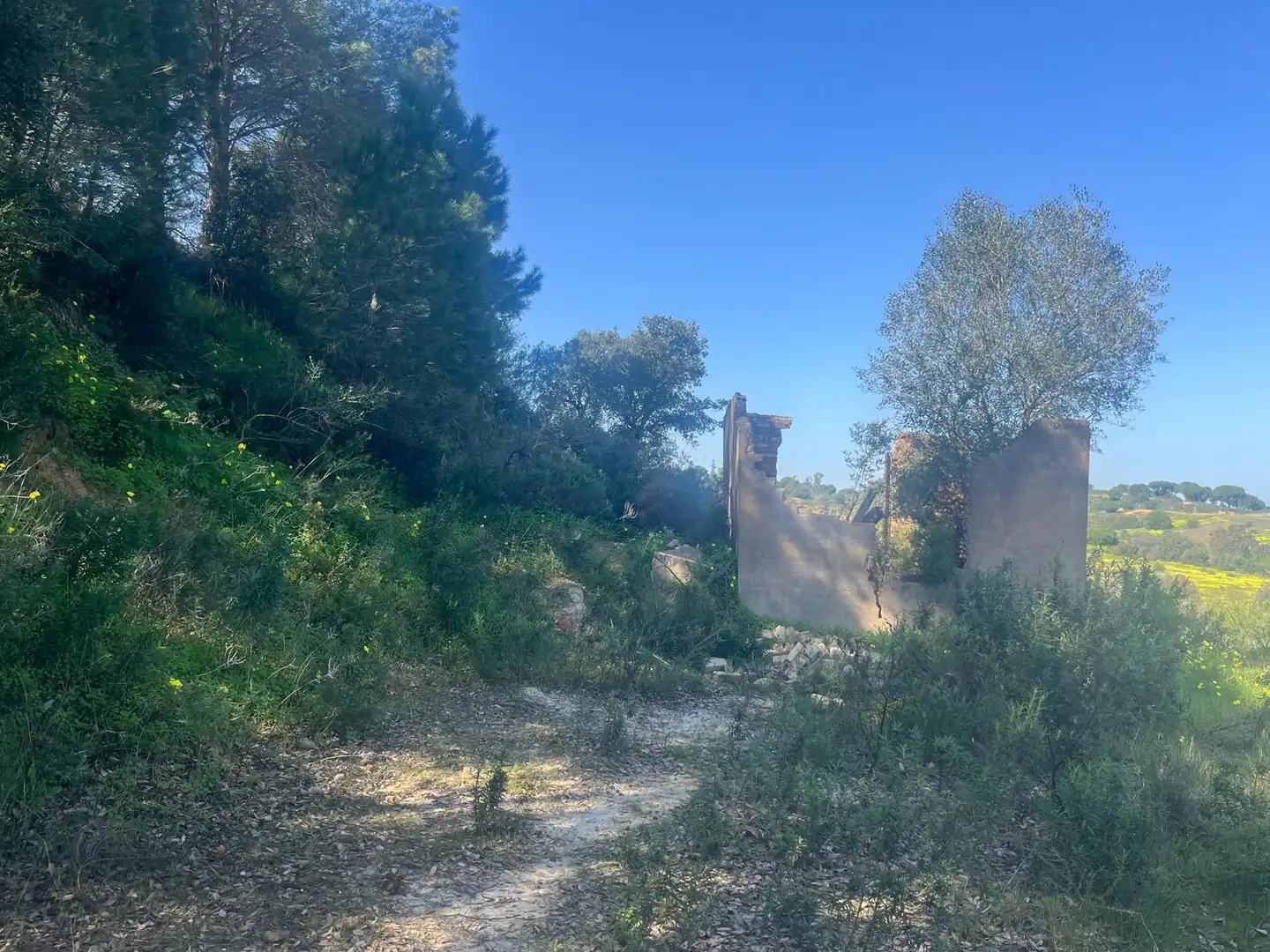 Residencial en venda en Gibraleón