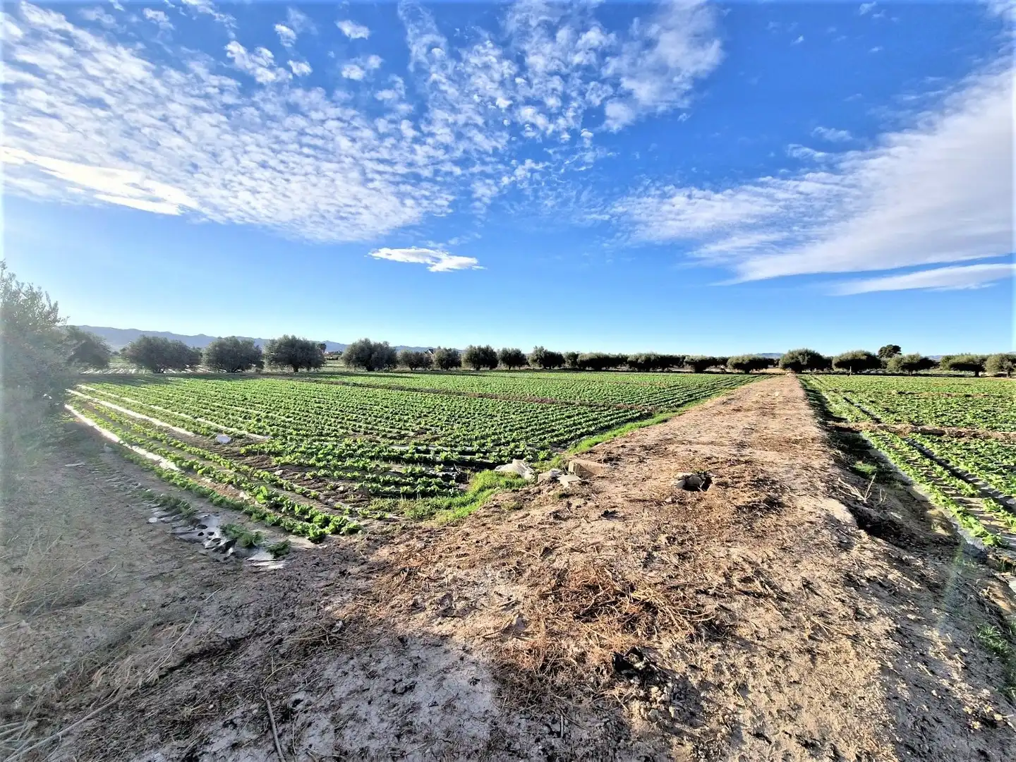 Residencial en venta en Lorca