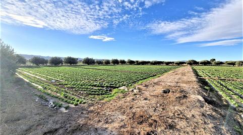 Foto 5 de Residencial en venta en Pulgara, Lorca