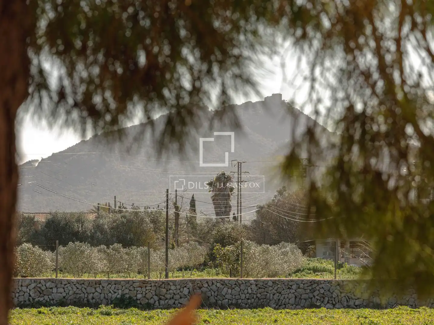 Exterior view of Country homes for sale in  Palma de Mallorca