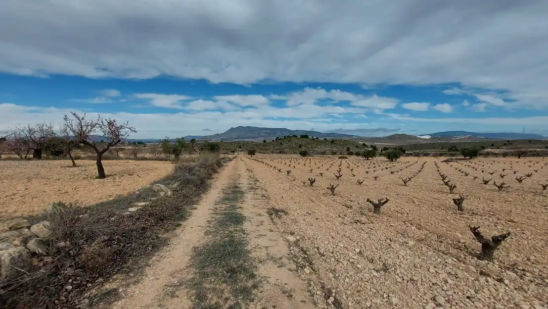 Residencial en venda en Abanilla