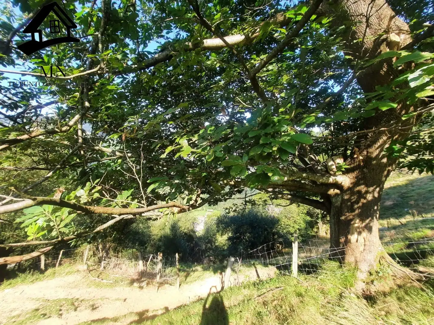 Casa rústica en venda a San Roque de Riomiera, imagen 19