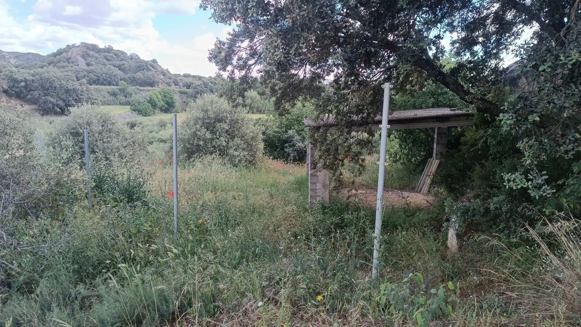 Terreni e lotti in vendita a Almunia de San Juan, imagen 5