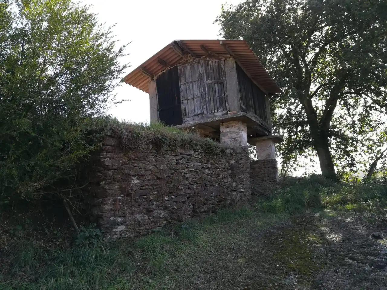 Exterior view of Country homes for sale in O Pino 