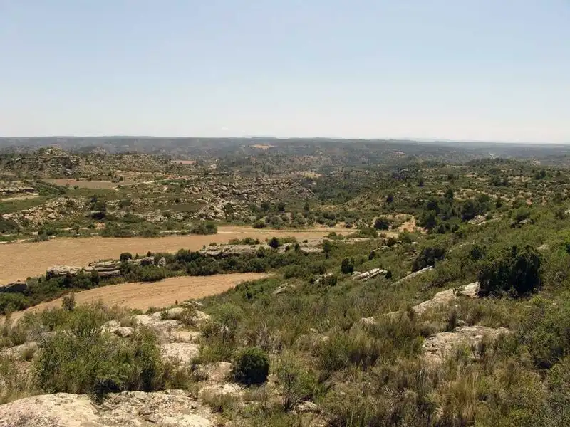 Finca rústica en venta en Alcañiz