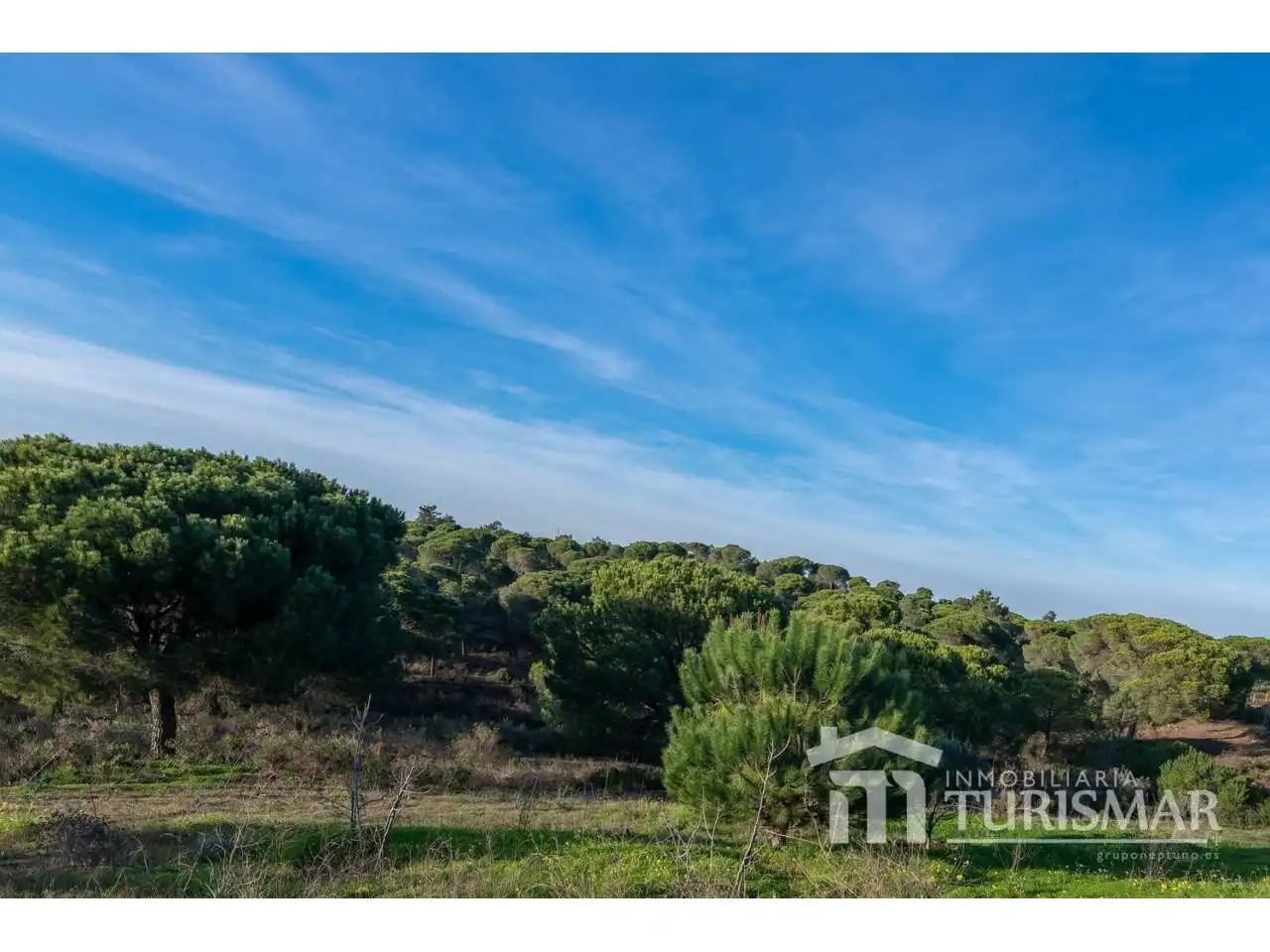 Villa in vendita a Carretera Campo 1, imagen 39