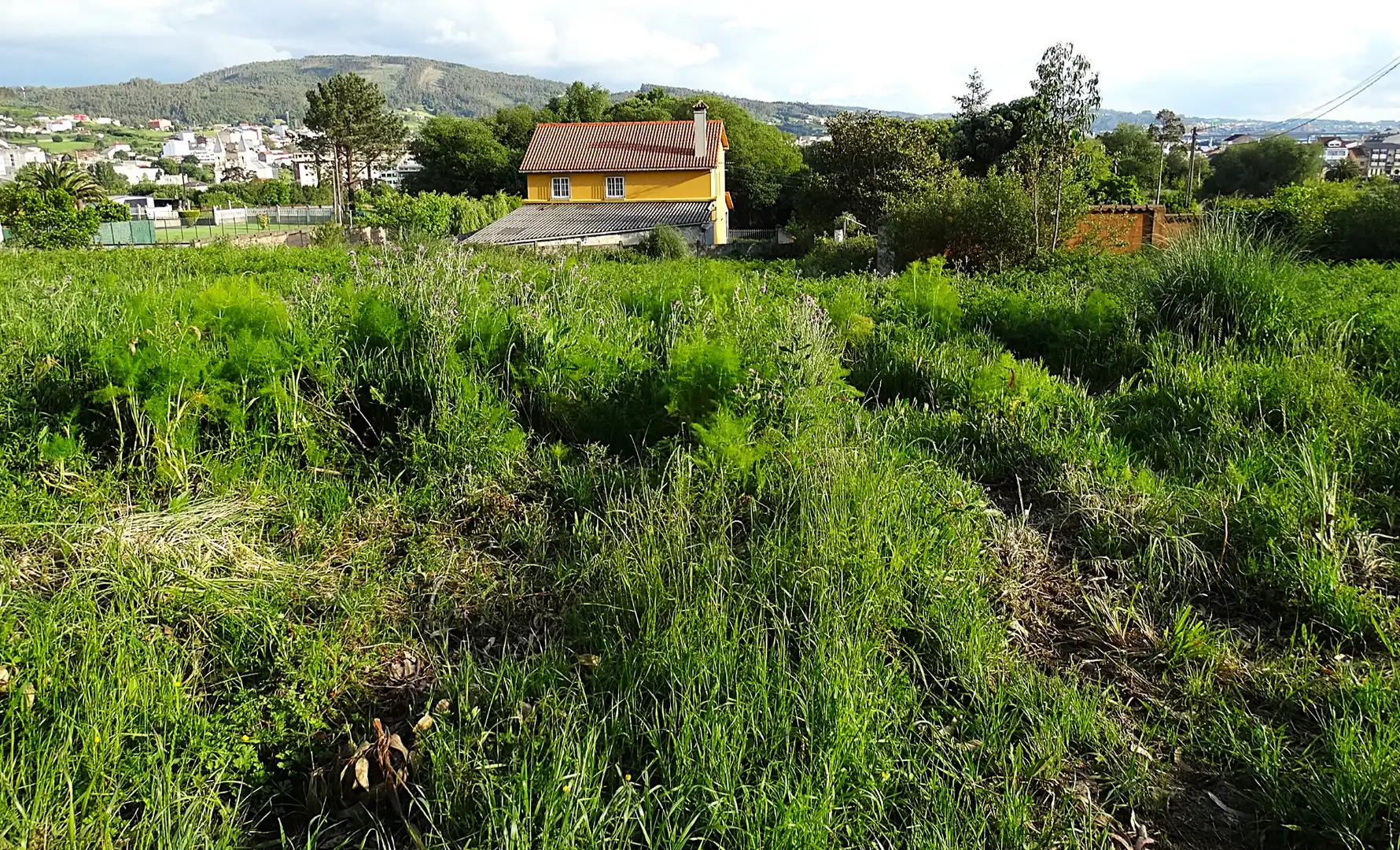 Terreni e lotti in vendita a Camiño do vinculeiro 21, imagen 2