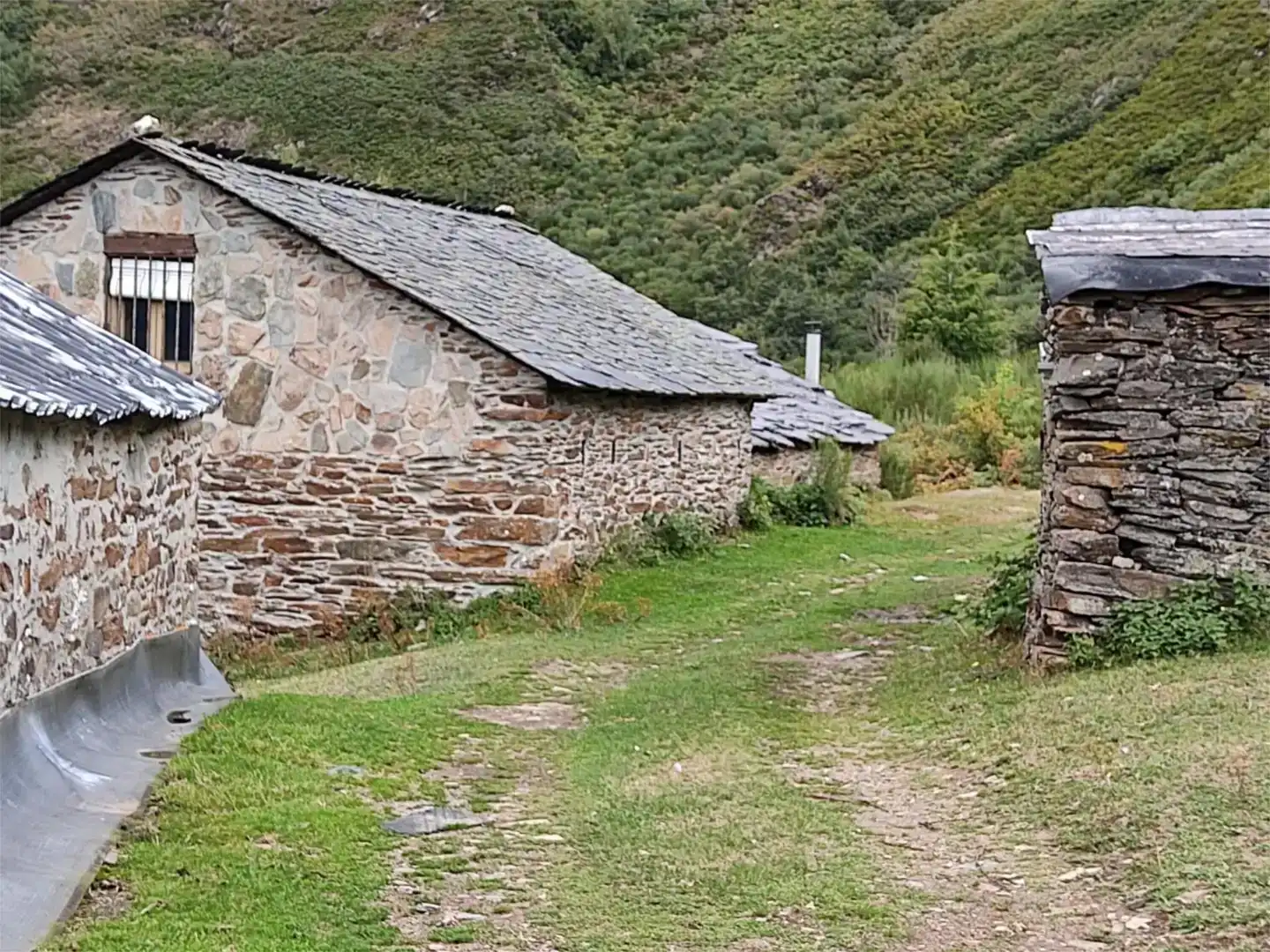 Vista exterior de Finca rústica en venda en Palacios del Sil