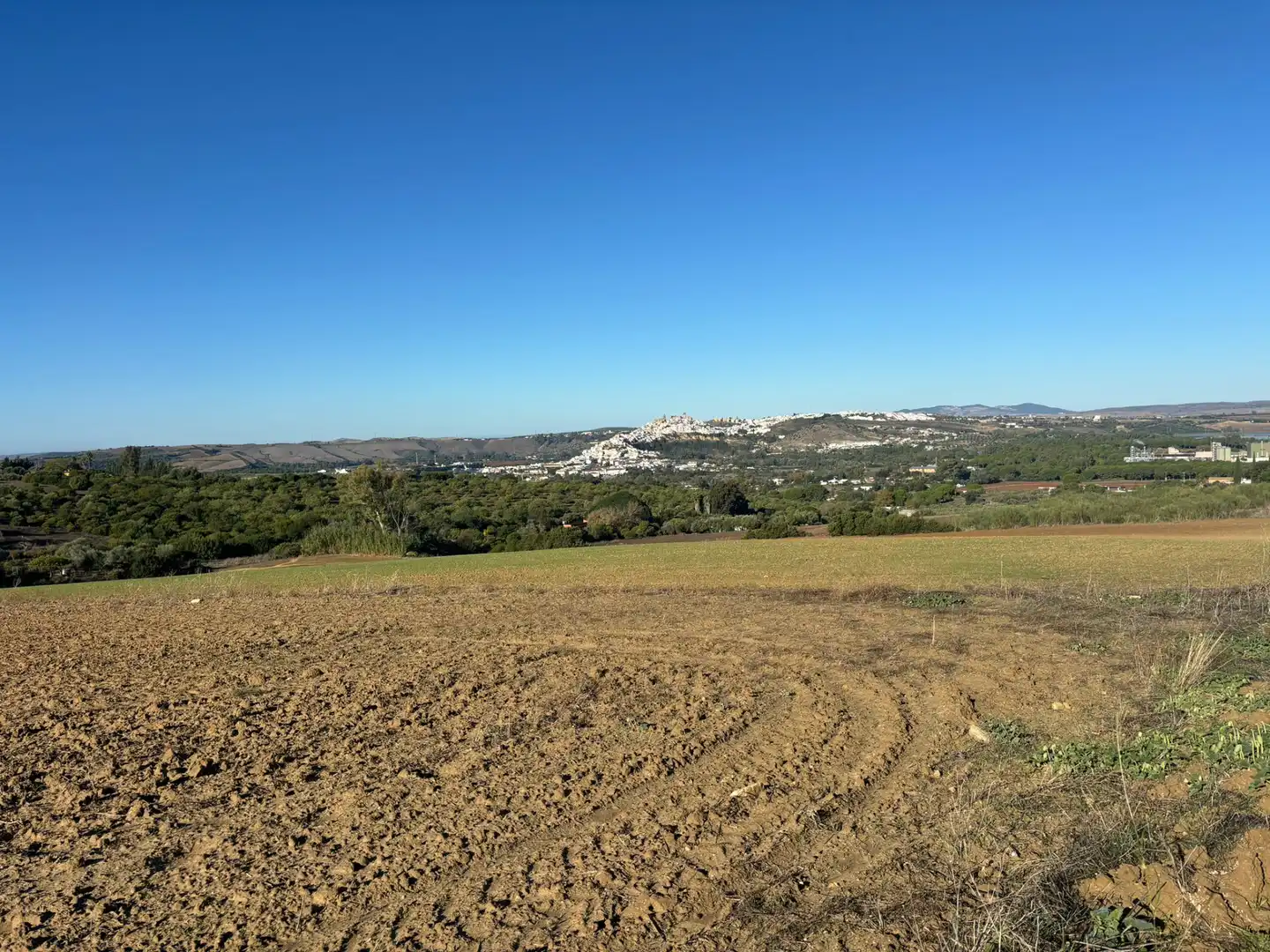 Terreny en venda en Arcos de la Frontera