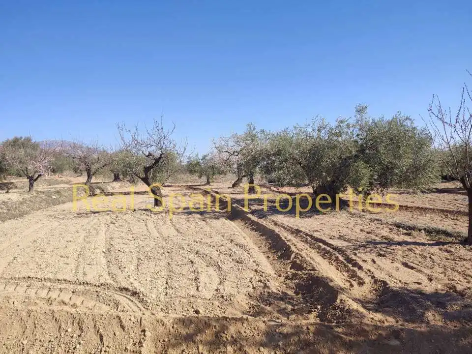 Residential land for sale in Vélez-Rubio, imagen 3