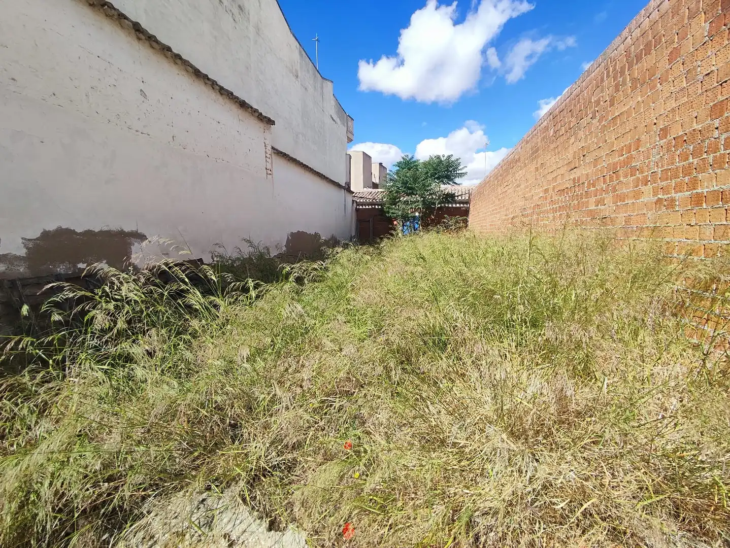Terreny residencial en venda a Calle de Santa Catalina, imagen 22