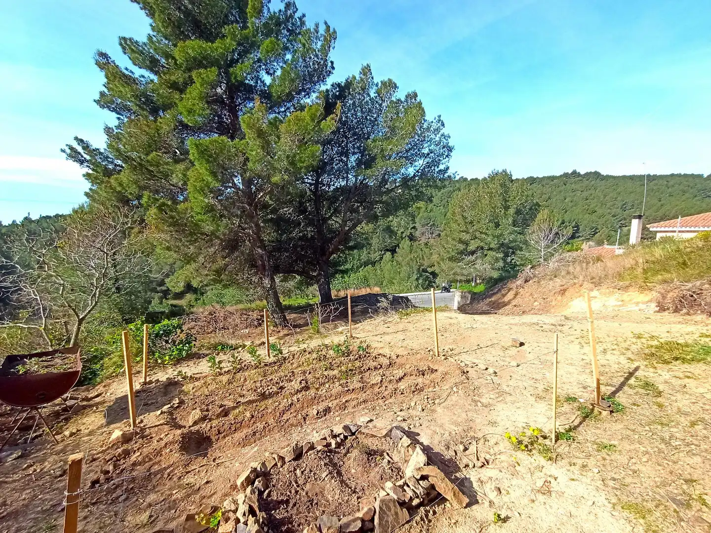 Terreny residencial en venda a Almoster, imagen 6