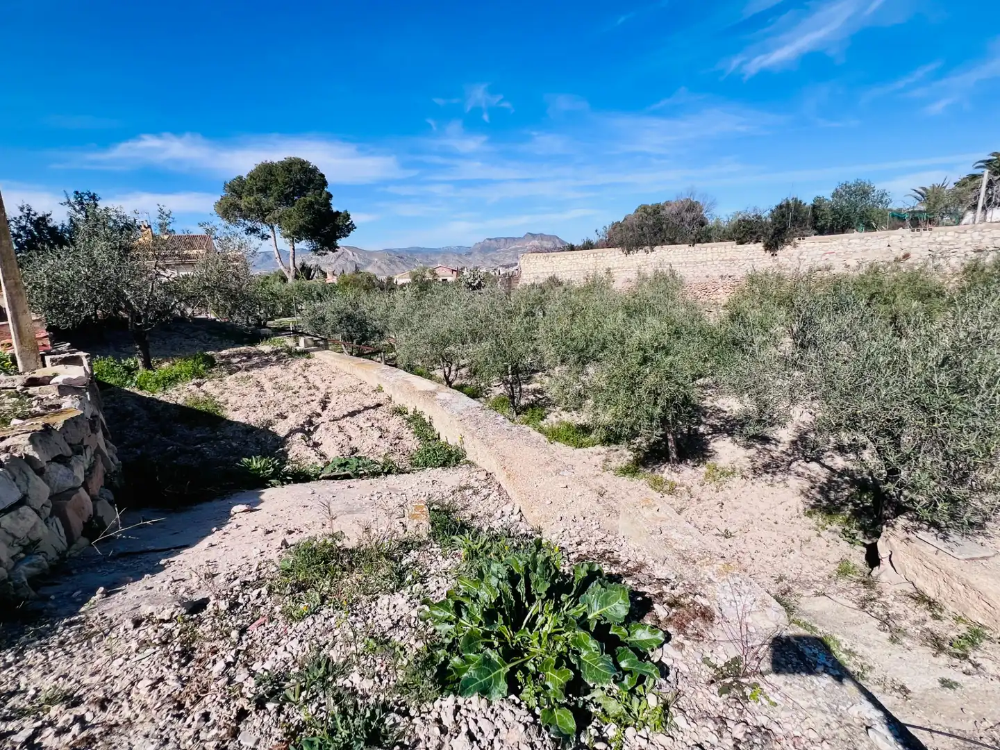 Casa o xalet en venda en Petrer amb Aire condicionat, Jardí privat i Terrassa