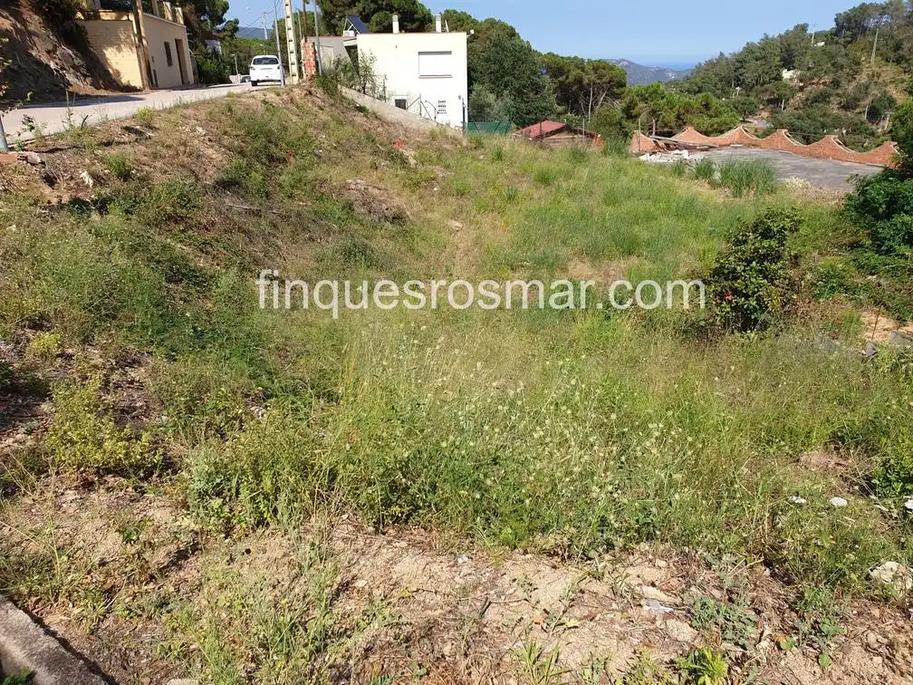 Terrenos y solares en venta en Serra Brava, imagen 3