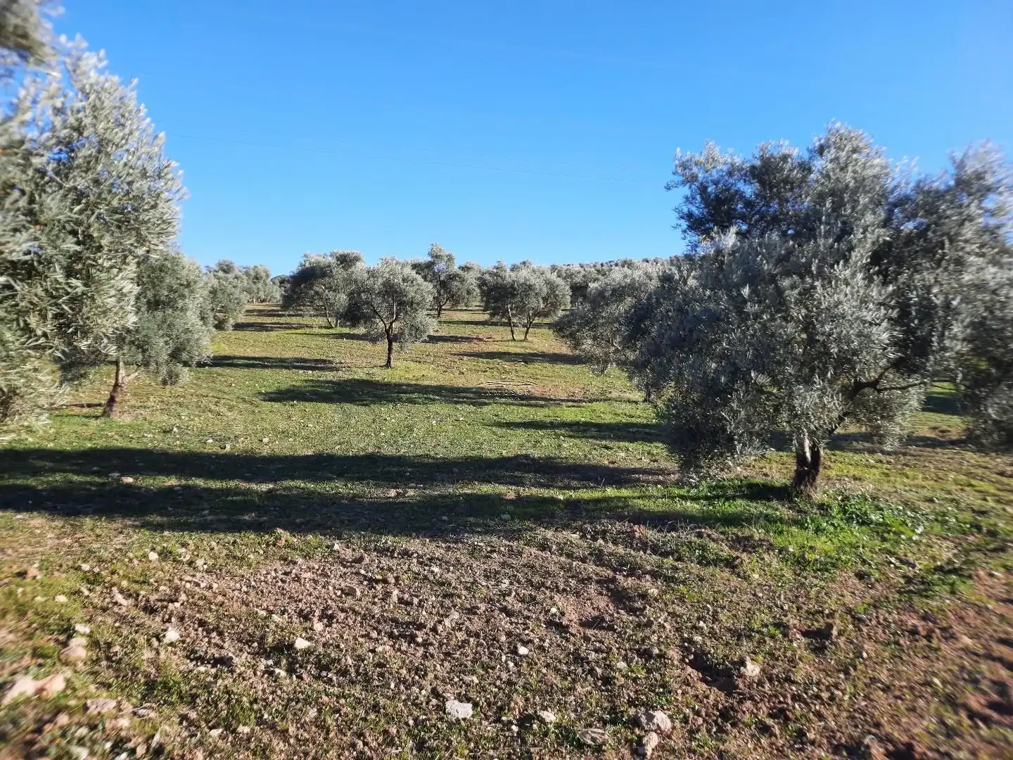 Terreno residencial en venta en Jauja, imagen 8