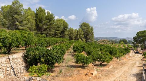 Photo 2 of Houses for sale in Partida Raco de Pasqual, Montesa, Valencia