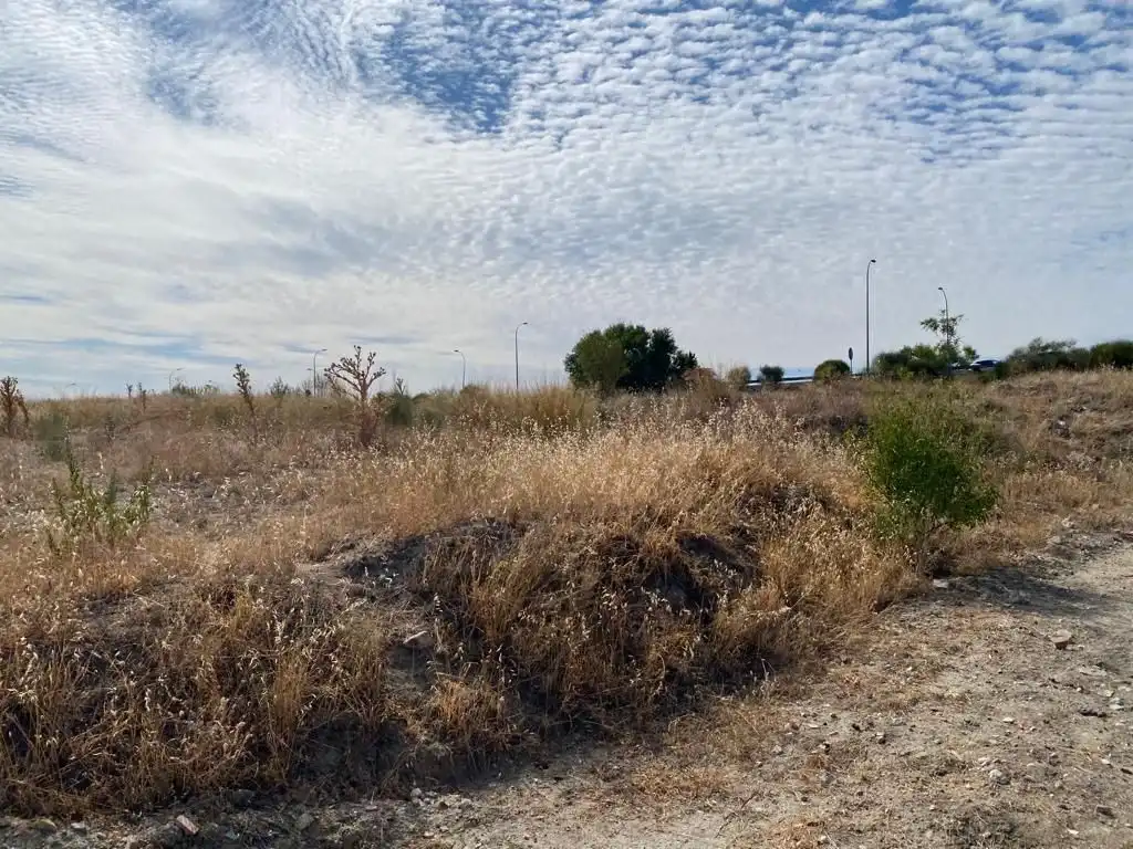 Terreno industrial en venta en 238P Calle de Octubre, imagen 14