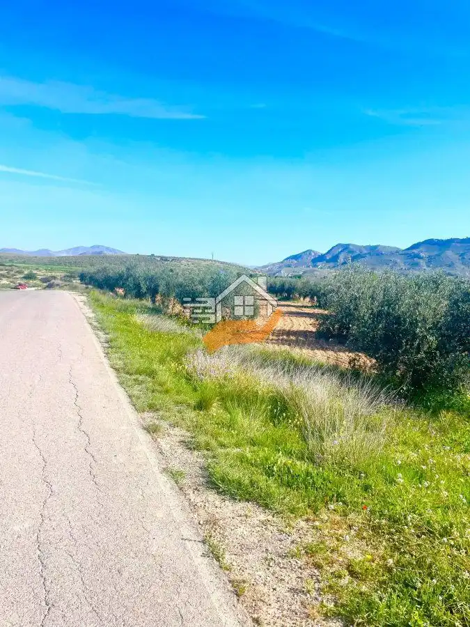 Lands and plots for sale in Pedanías Norte, imagen 37